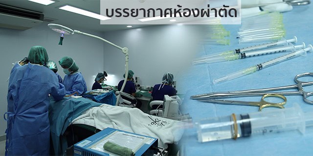ปลูกผม หัวล้าน ผมบาง หมอธิติวัฒน์ เมโกะ MHCคุณวิกรม