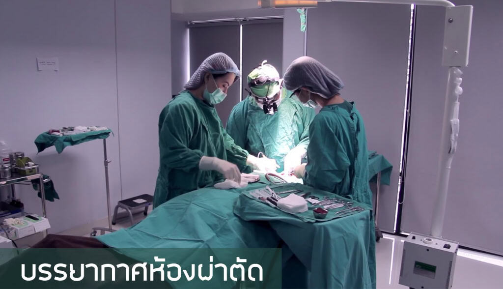 หนูอิมฟ้าว์เฟี้ยว-ปลูกผม-fut